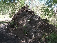 nti Sartorius-20100606 027